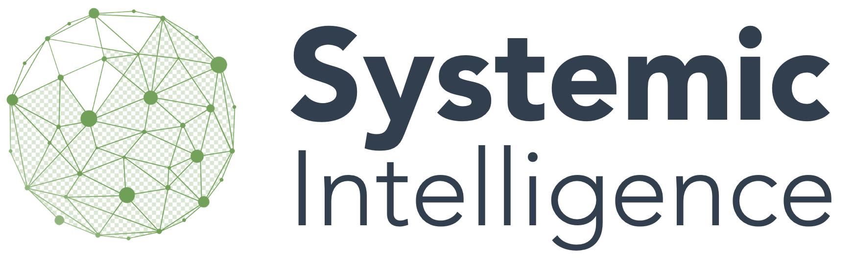 Systemic Intelligence